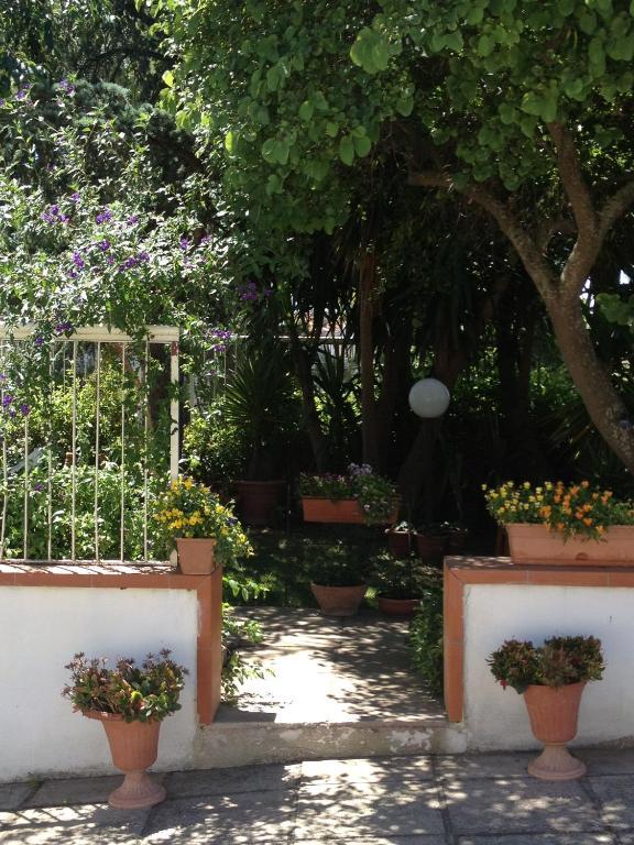 B&B Solacium Matera Exterior photo